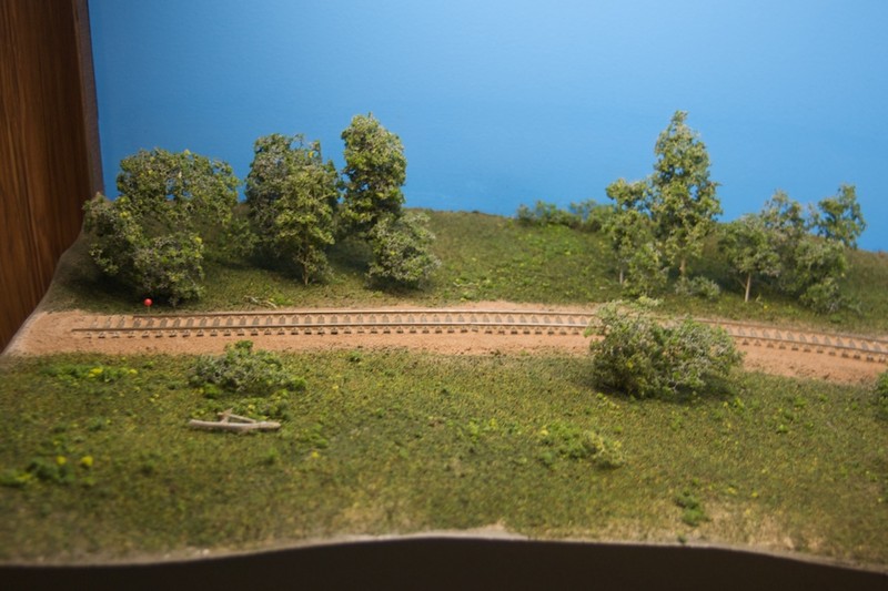 The result.  This is my first attempt with static grass scenery and I am delighted with the outcome.  Sanded tile grout is used for ballast while course turf is added to the static grass for depth and variety.  The trees are Scenic Express SuperTrees.